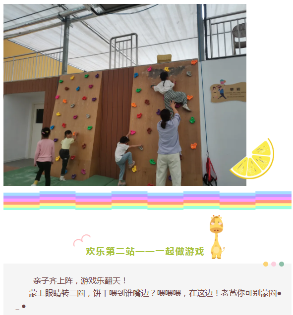 新奥门原料免费资料