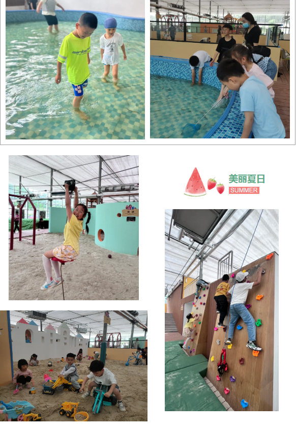 新奥门原料免费资料
